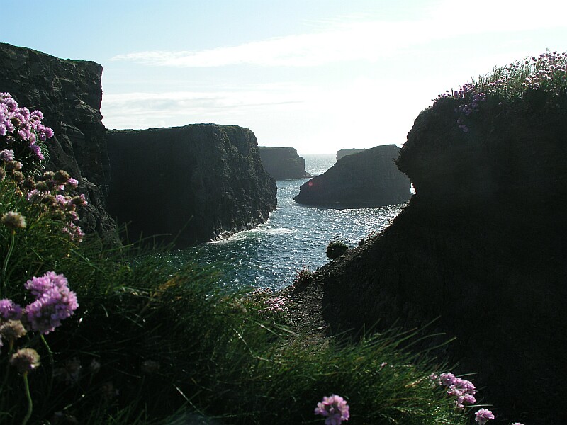 Cliffs of Kilkee