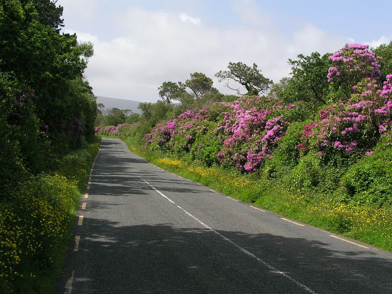 Straße auf Achill Sound