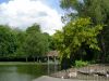 Teich im St. Stephens Green